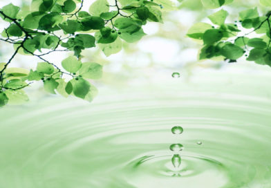 Be aware of Money and Wealth