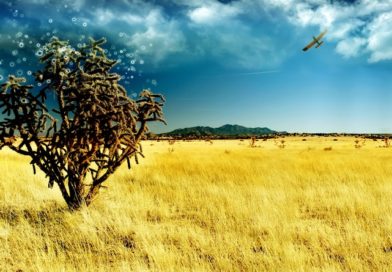 Is Allah Taala pleased with me