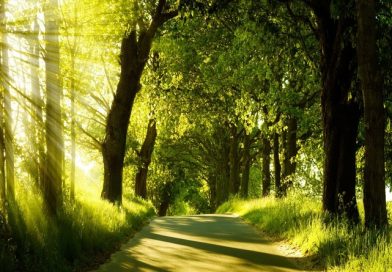 General Signs of Qiyamah