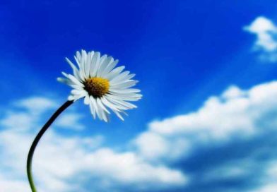 Who is better and more accepted to Allah Taala