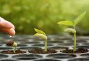 The Primary Step towards Isteqamat on Allah's Path
