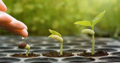 The Primary Step towards Isteqamat on Allah's Path